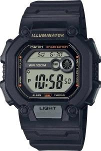 CASIO