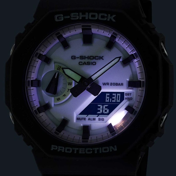 CASIO