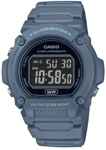 CASIO