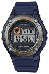 CASIO