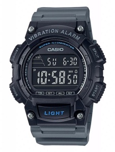 CASIO