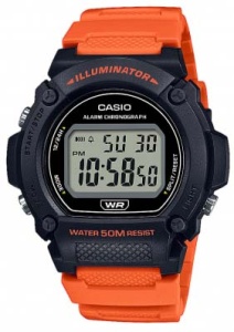 CASIO