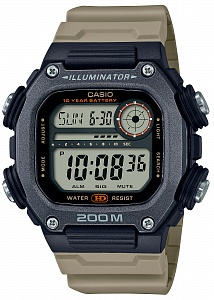 CASIO