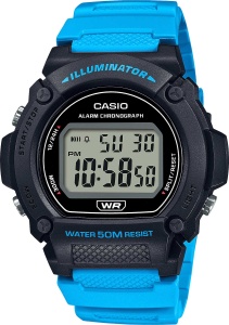 CASIO