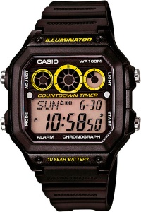 CASIO