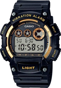 CASIO