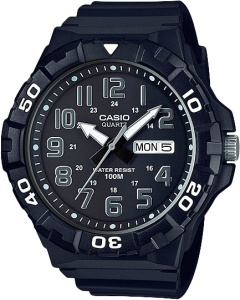 CASIO