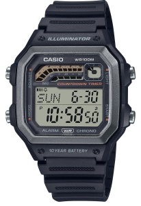 CASIO