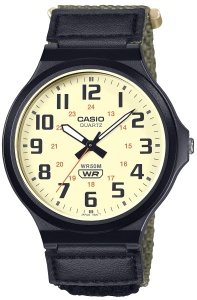 CASIO