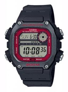 CASIO