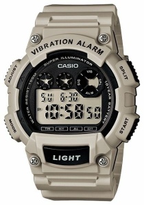 CASIO