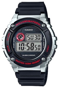 CASIO