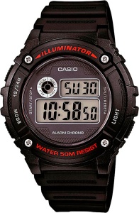 CASIO