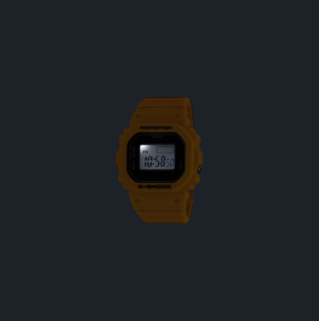 CASIO