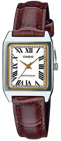 CASIO