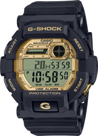 CASIO