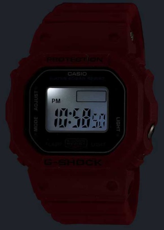 CASIO