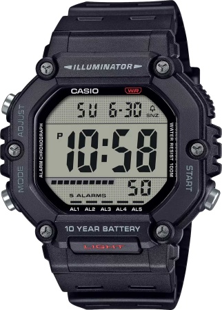 CASIO