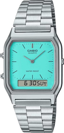 CASIO